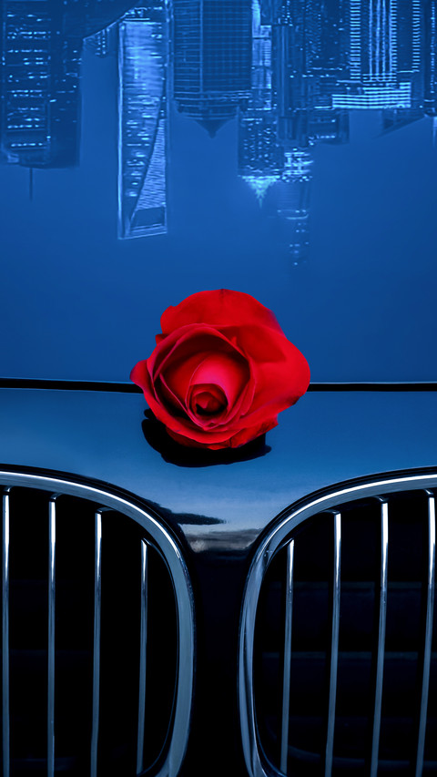 The reflection of urban buildings and roses on the car screenshot
