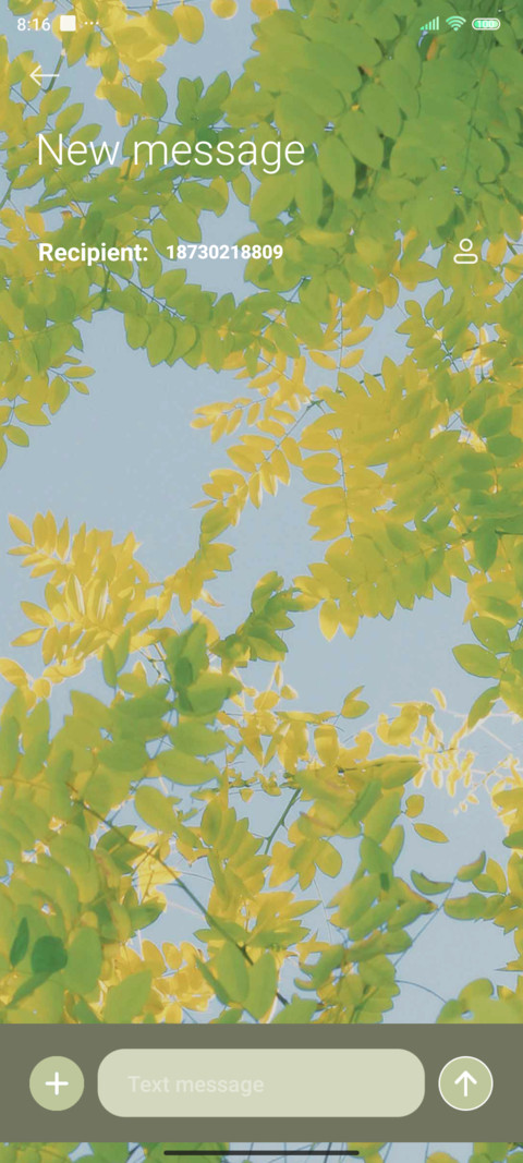Eye care green screenshot