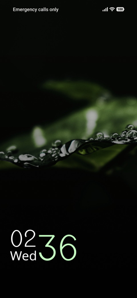 Silver Gleam screenshot