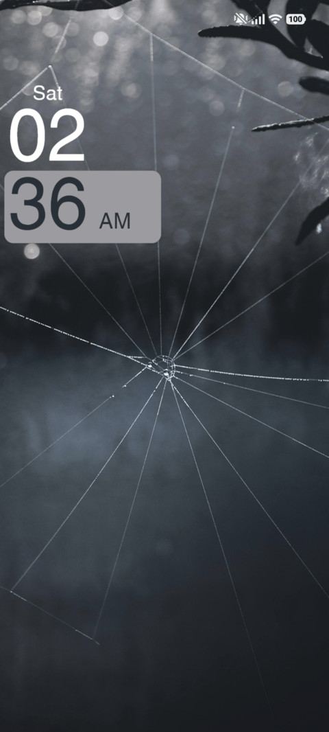Spider screenshot