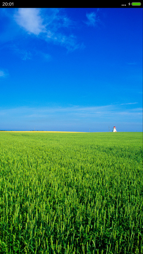 清爽夏日c screenshot