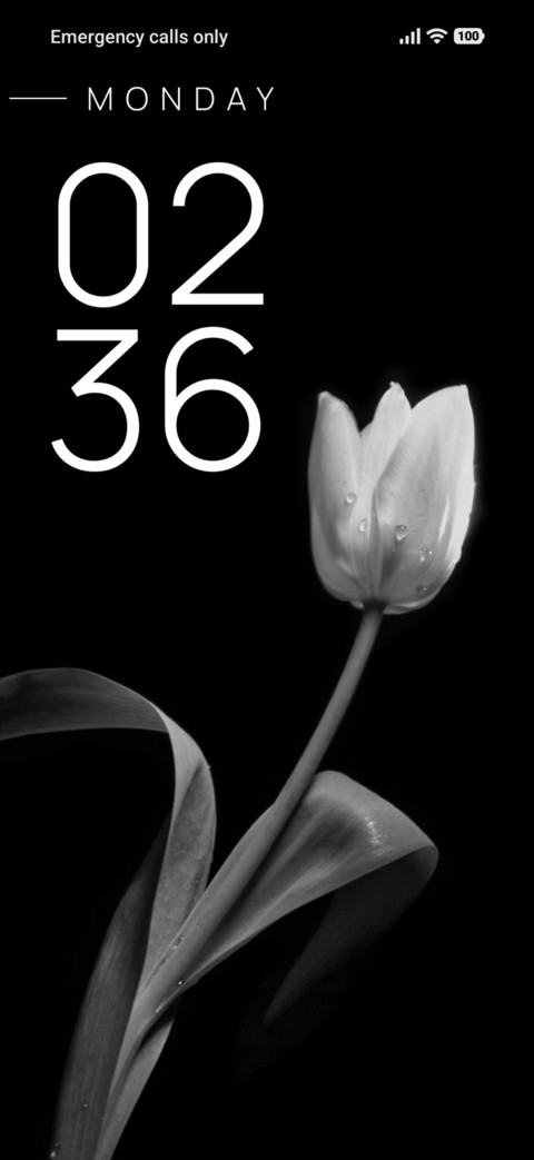 Pure Petal screenshot