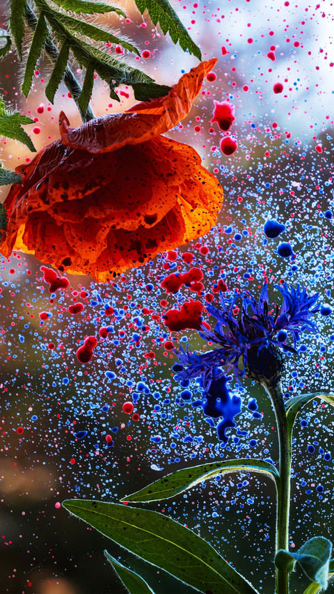 The battle of colored paper screenshot