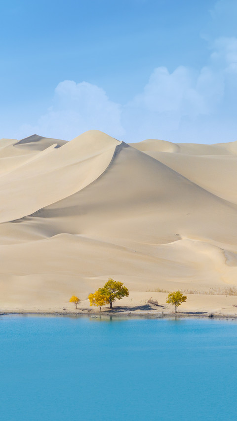 新疆奇景 湖沙共存 screenshot