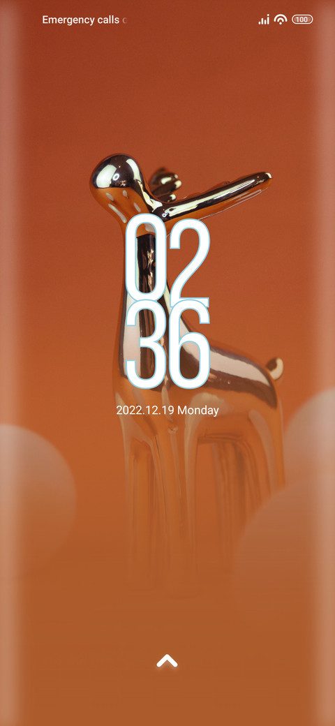 Ornament screenshot
