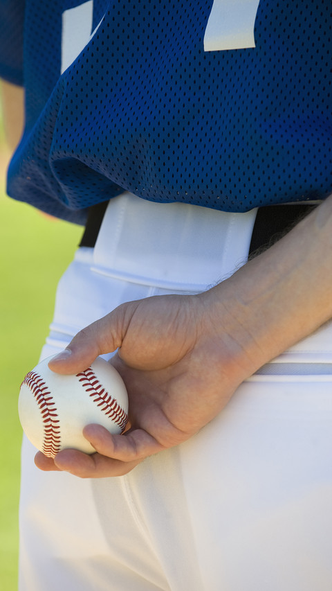 india-baseball screenshot