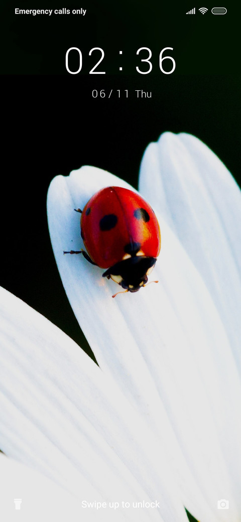 Ladybug_3MDS screenshot
