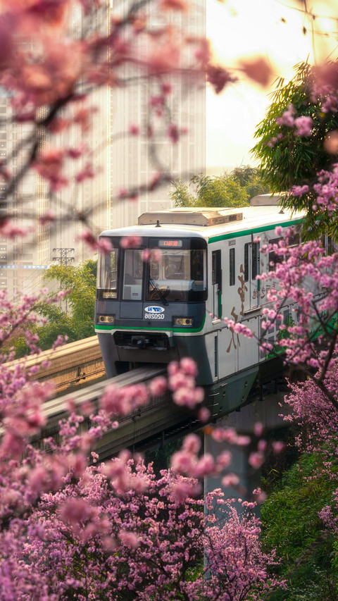 Light Rail 2 Crossing the Flower Sea screenshot