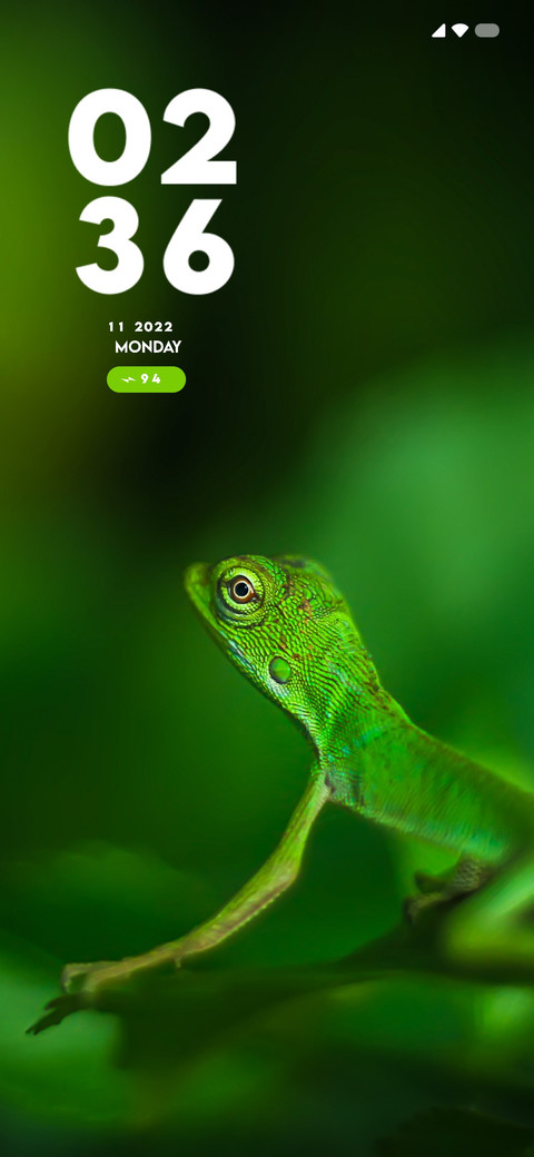 Lizard screenshot