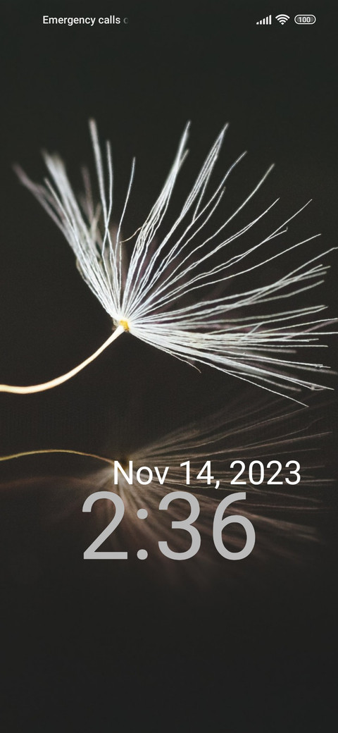 minimal dandelion screenshot