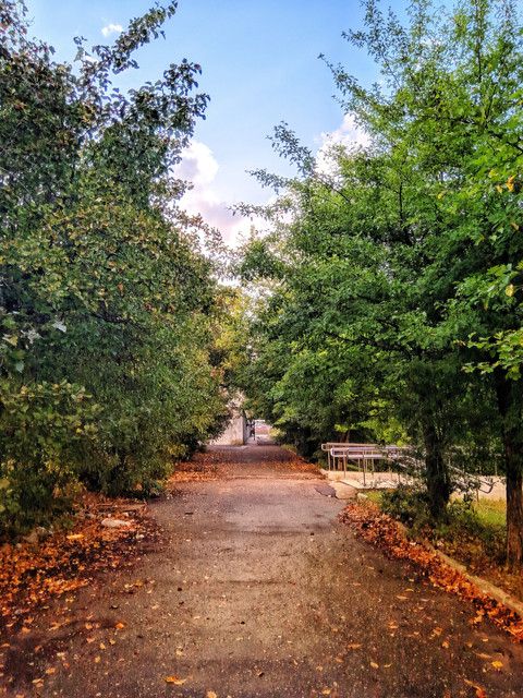 Russain Fall screenshot