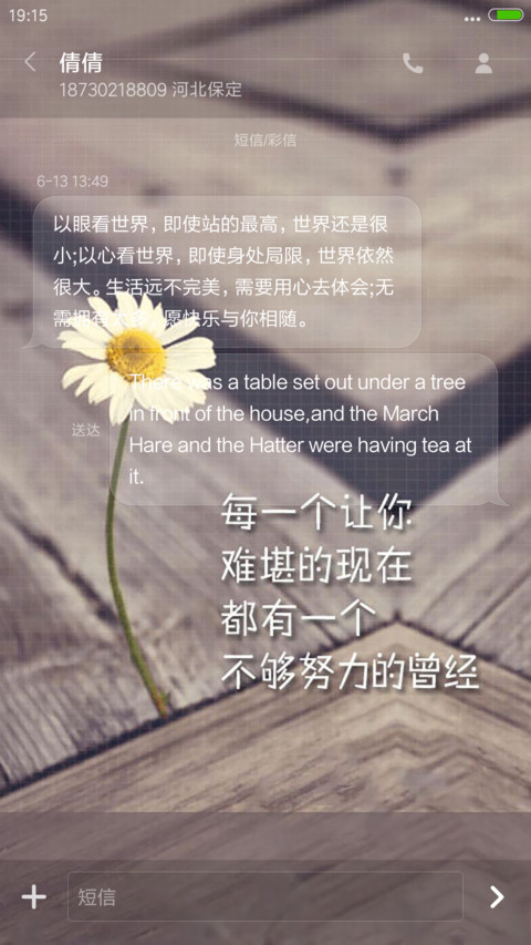 残菊（4D动态流星下雨） screenshot