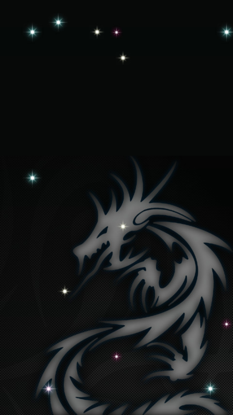 龙 screenshot