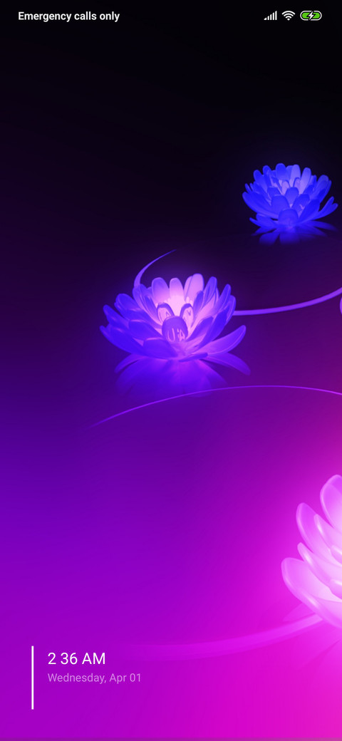 Purple Flowers V2 screenshot