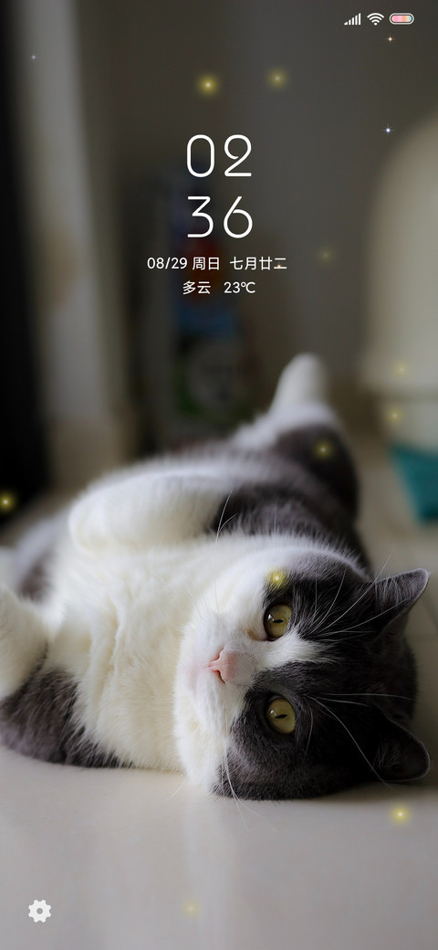 可爱猫 screenshot