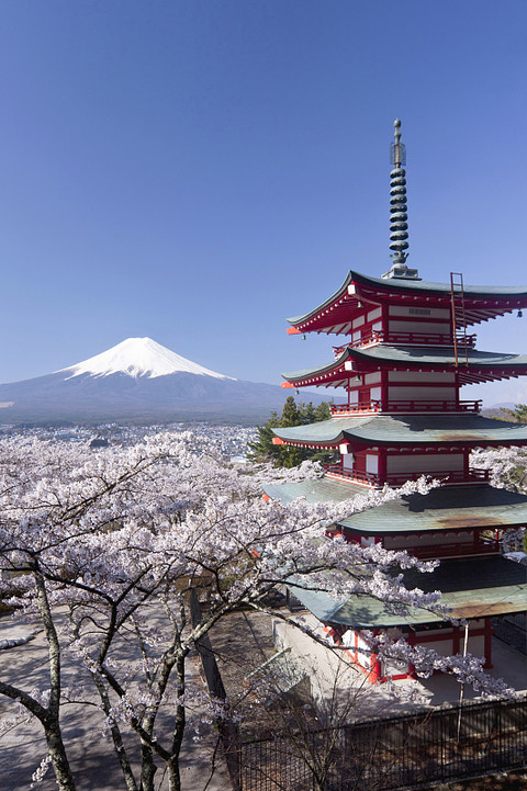 端庄圣洁之富士山 screenshot