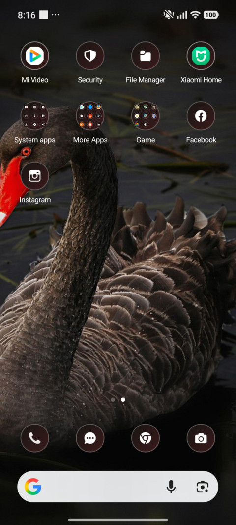 Black Swan screenshot