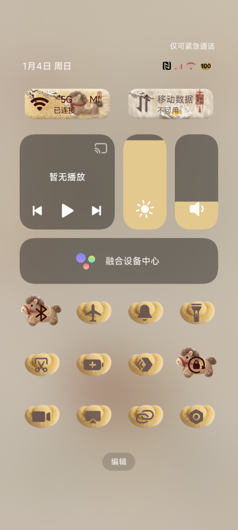 国风新年毛绒文字 screenshot