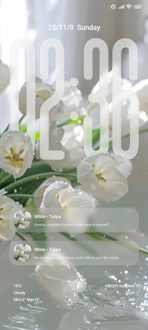 Glass Pro screenshot