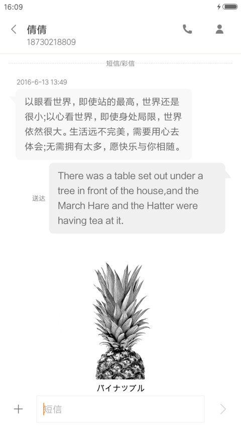 菠萝 screenshot