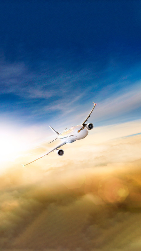May day flight booking hot screenshot