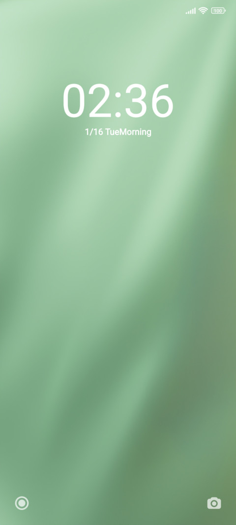 Green Curtains screenshot