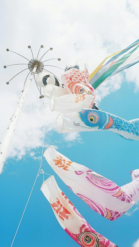 鲤鱼旗 screenshot