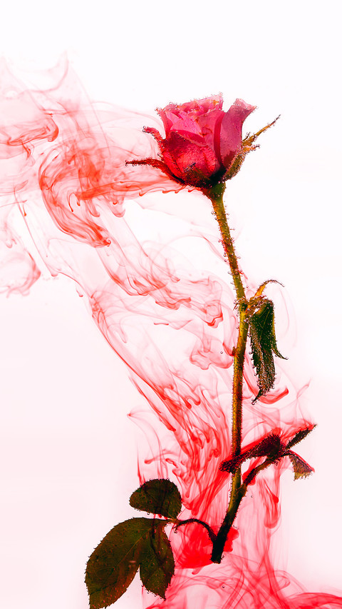 Romantic bouquet-06 screenshot