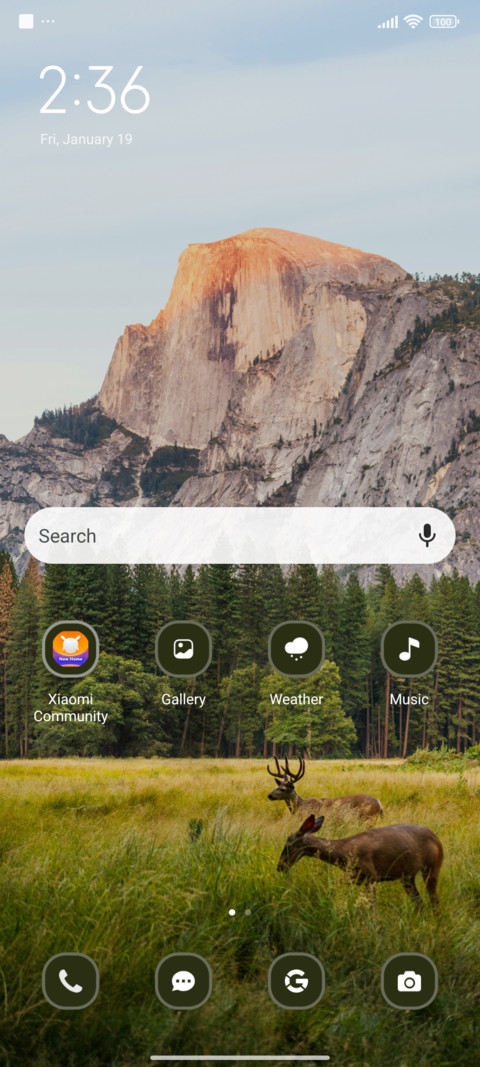 Deer in Forest screenshot