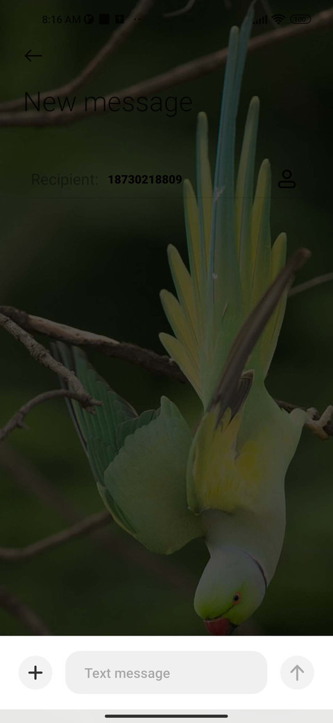 LILY NAVVA V12.5 screenshot