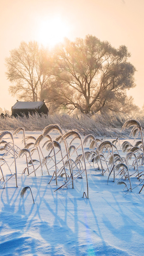 不一样的冬日风景 screenshot