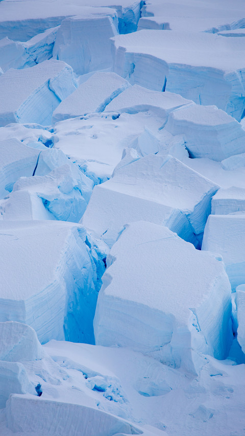 Recurrent Epidemic in Antarctica 8 screenshot