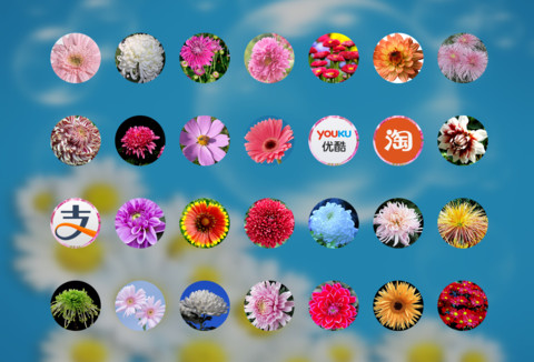 菊花（动态锁屏特效+动态桌面特效） screenshot