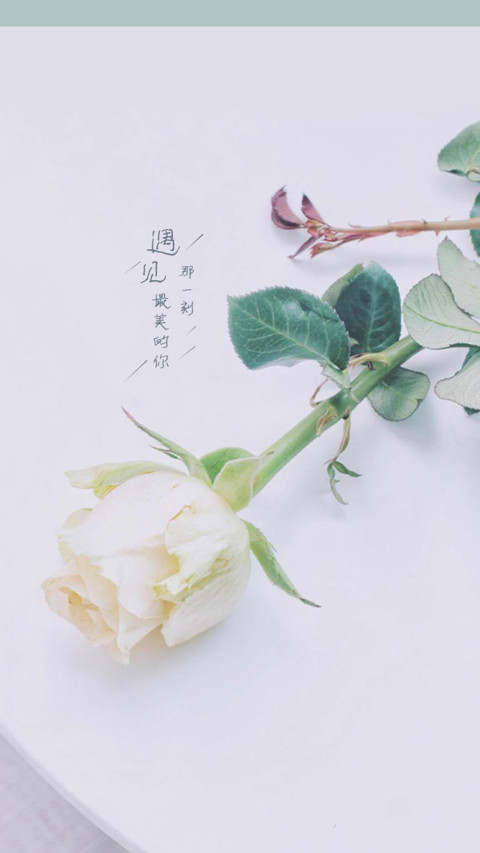 喜欢就喜欢 screenshot