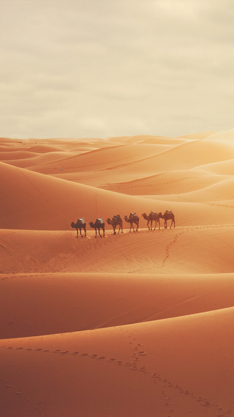 Desert landscapes screenshot