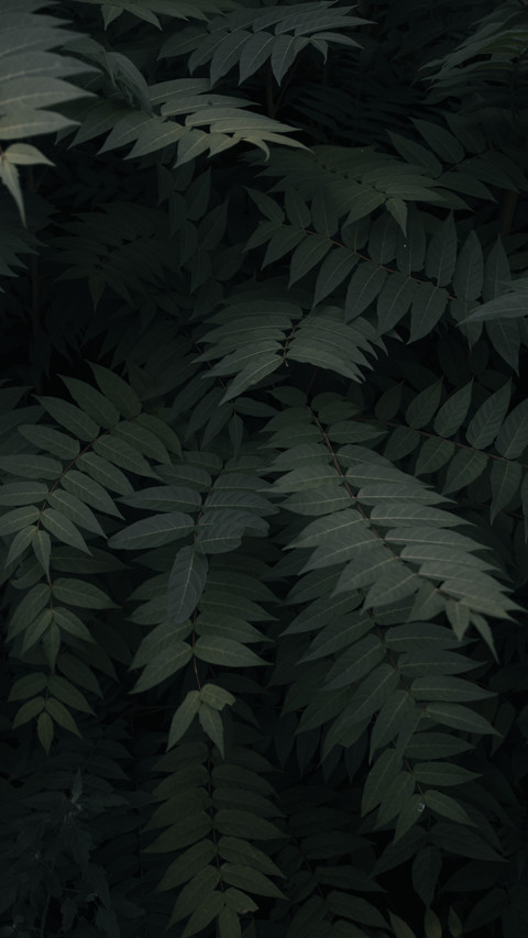 guzman-barquin-qc0f-AhUw0M-unsplash screenshot