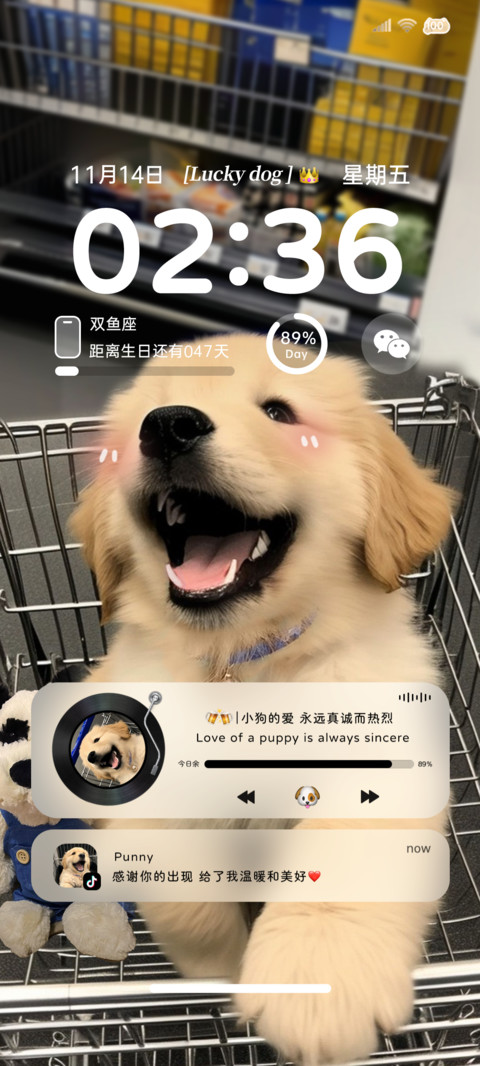 ins治愈购物金毛 screenshot