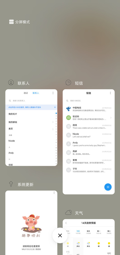 胖胖妃 猪年贺岁 screenshot