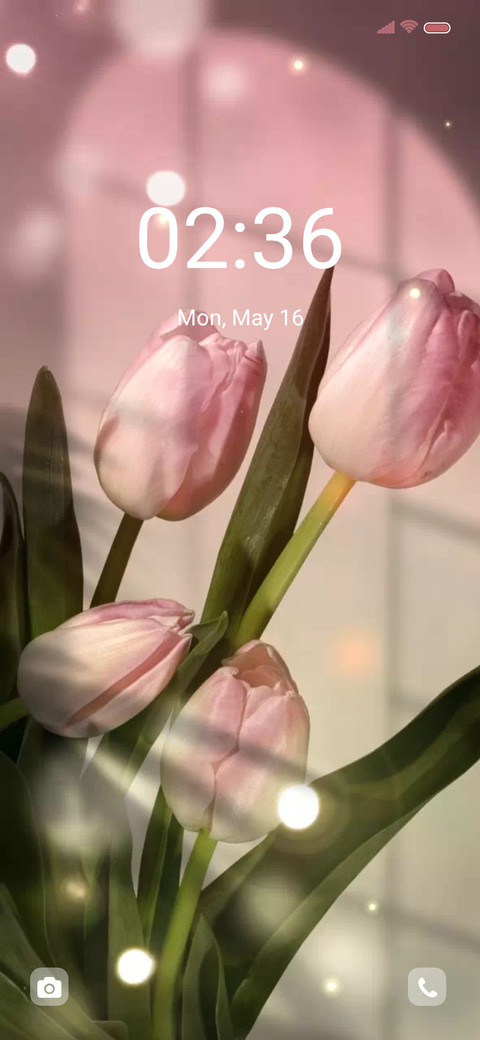 Pink tulip screenshot
