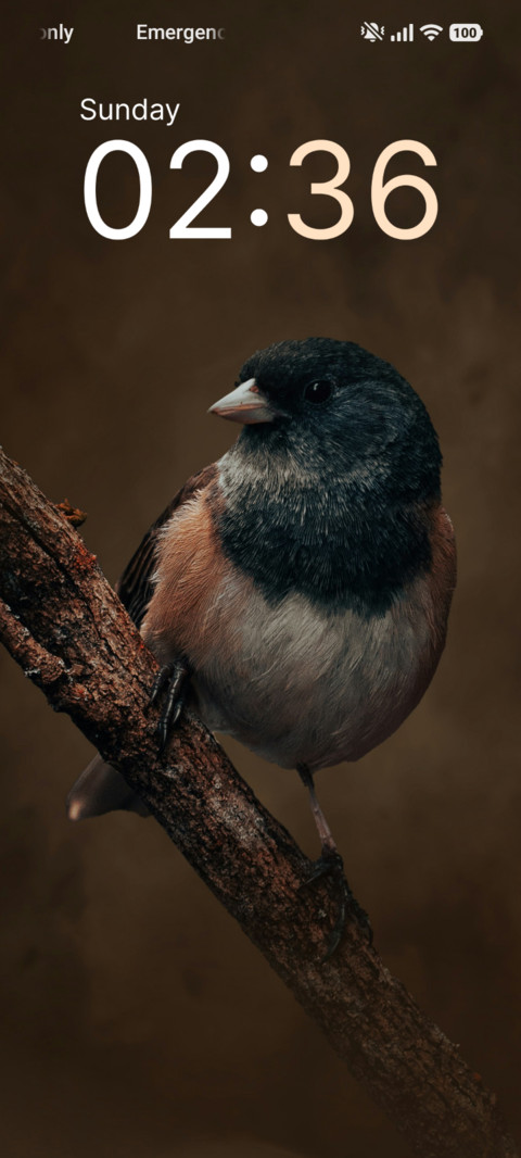 Peaceful Perch screenshot