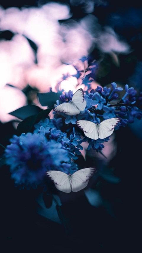 Butterfly (8) screenshot