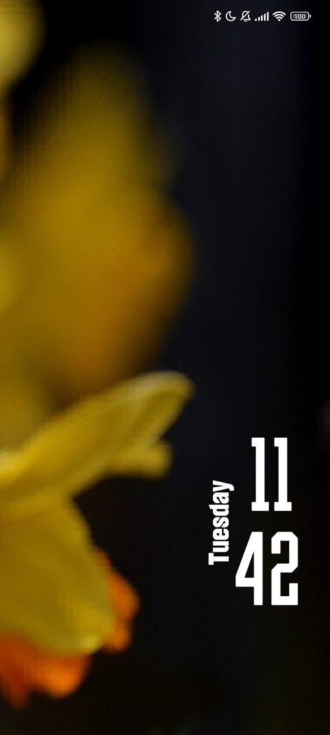 Lily screenshot