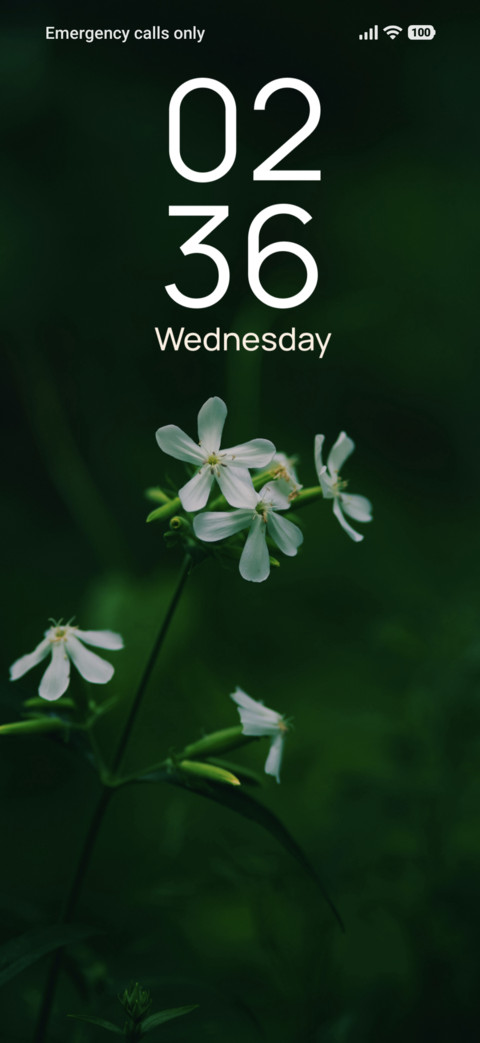 Soft Harmony screenshot