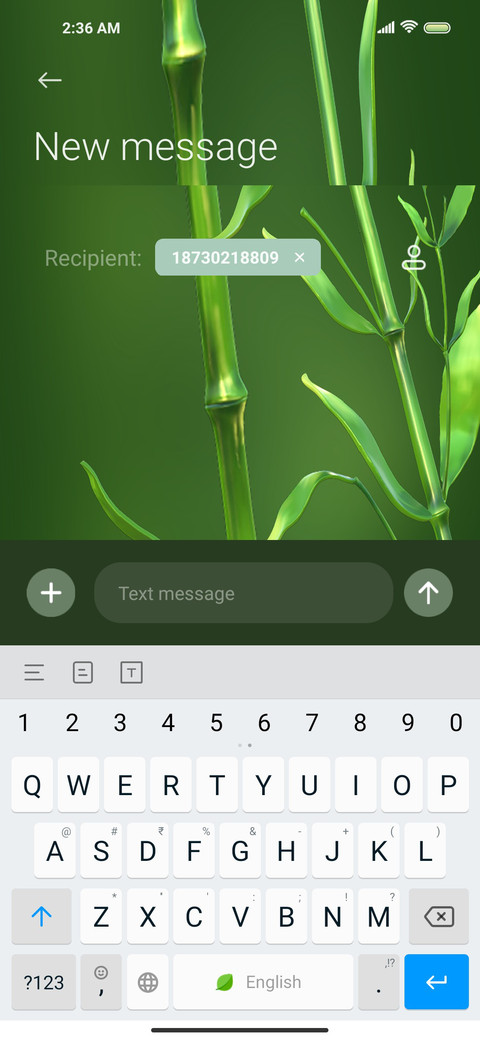 Green bamboo screenshot