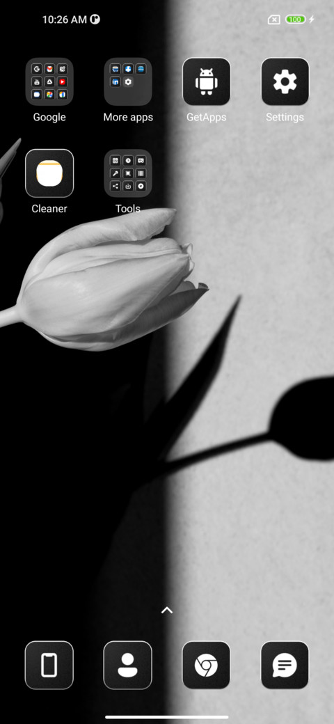 Triumph Tulips screenshot