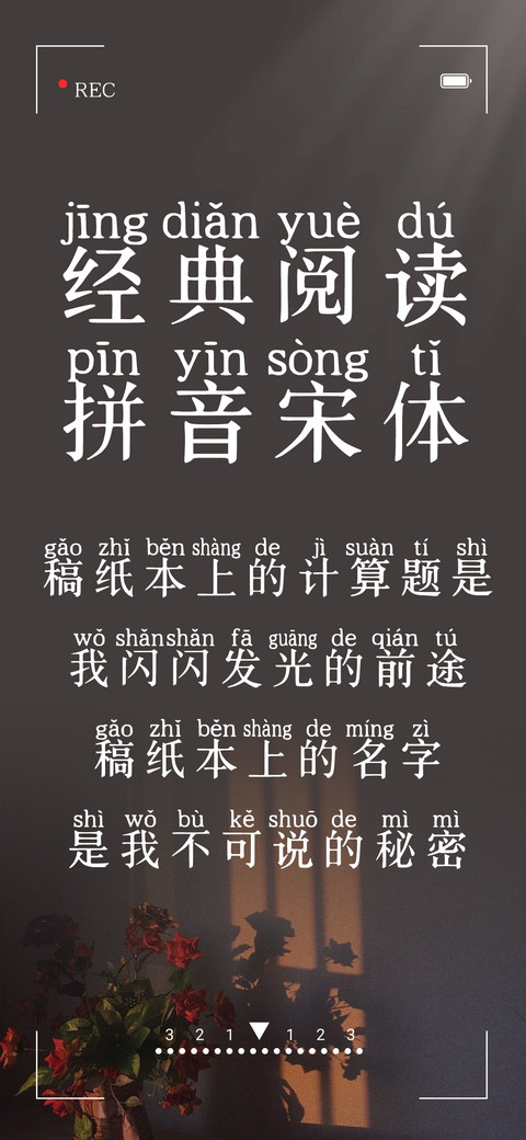 经典阅读拼音宋体 screenshot