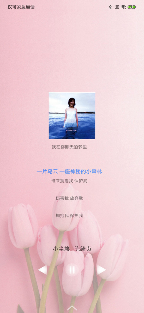 百合花语 screenshot