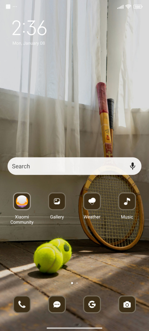 Tennis Rackeet screenshot