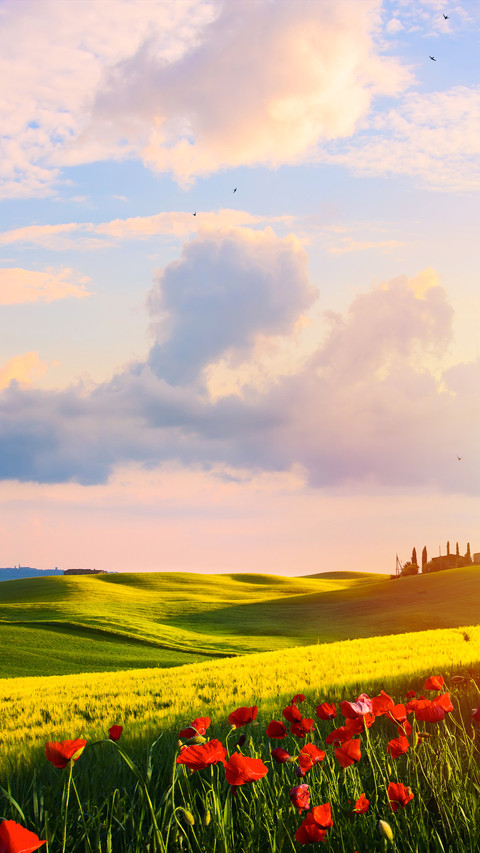 Green eye-protecting grassland screenshot