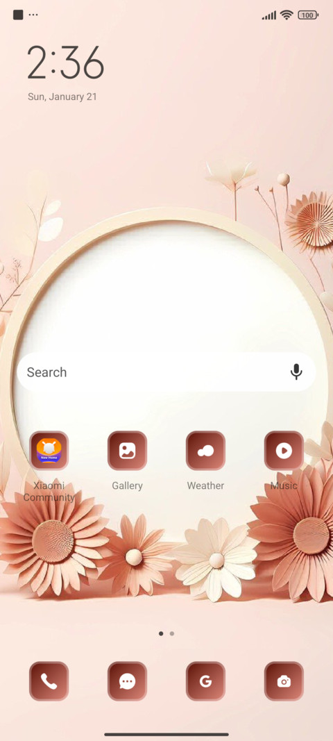 Mirror screenshot